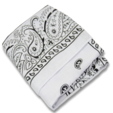 Large 100% Cotton Paisley Bandanas (22 inch x 22 inch) [White]